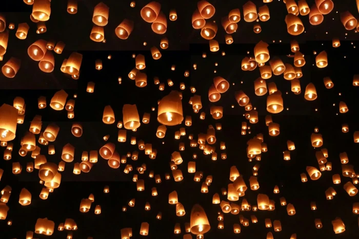 Lantern Festival 2025 Ticket - Image 8